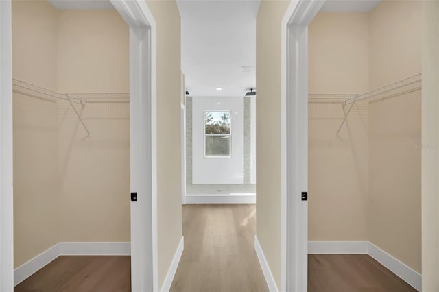 walk in closet with hardwood / wood-style floors