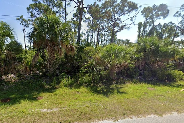 14336 Overlook Ave, Port Charlotte FL, 33981 land for sale