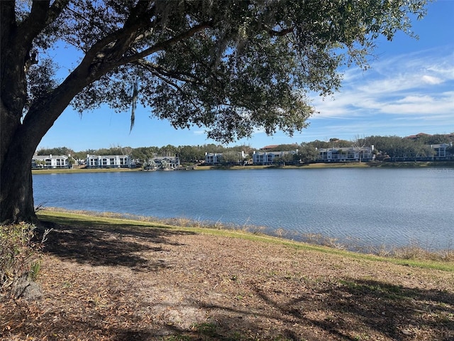 view of water feature