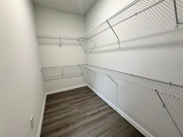 walk in closet with dark hardwood / wood-style flooring