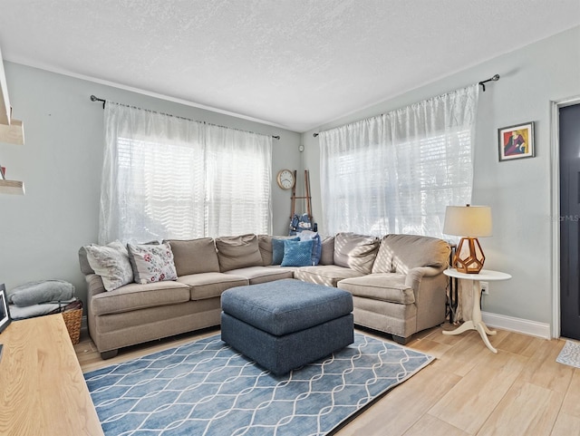 living room featuring hardwood / wood-style flooring, a wealth of natural light, and a textured ceiling