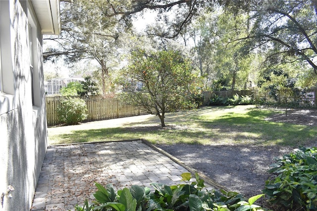 view of yard with a patio area