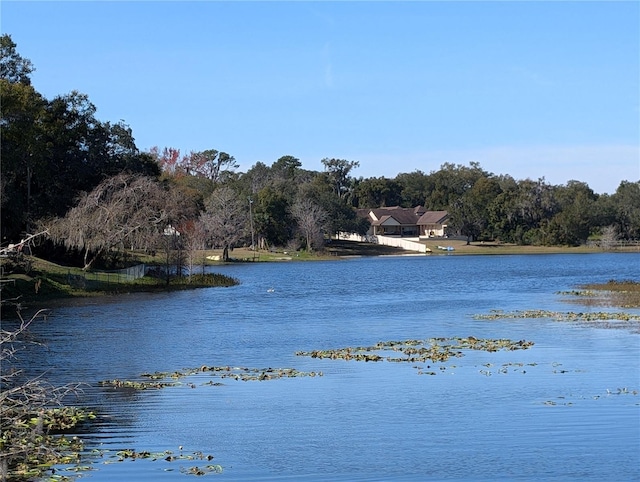 view of water feature