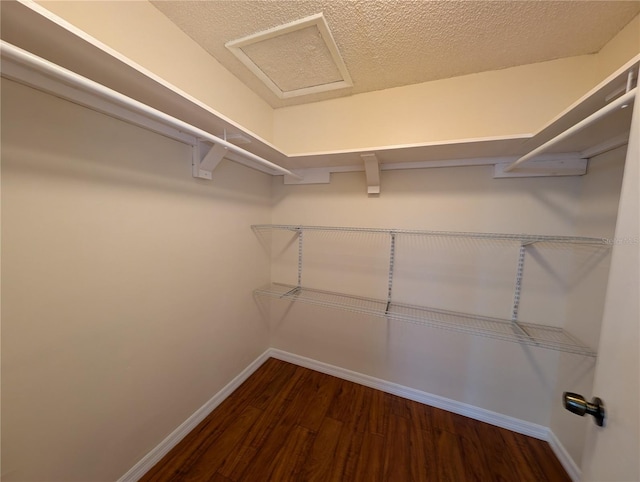 walk in closet with dark hardwood / wood-style flooring