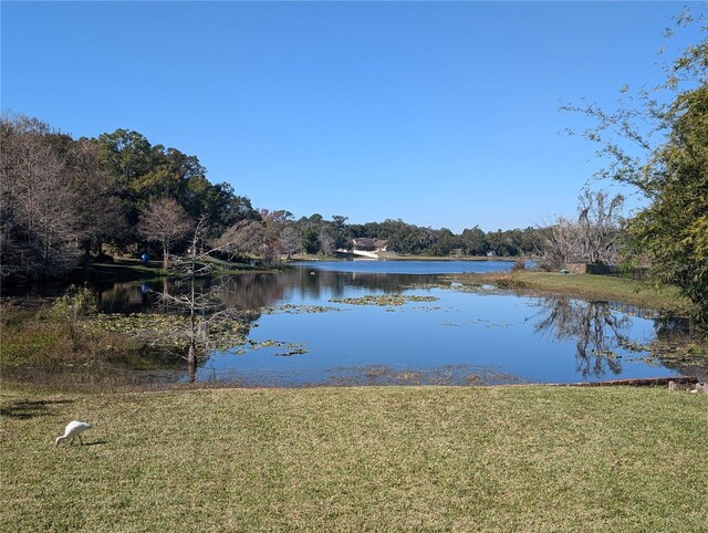 property view of water