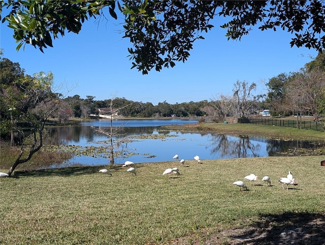 water view with fence