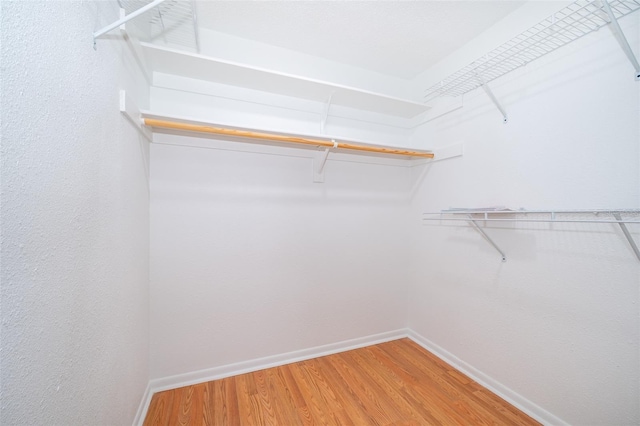 spacious closet featuring wood-type flooring