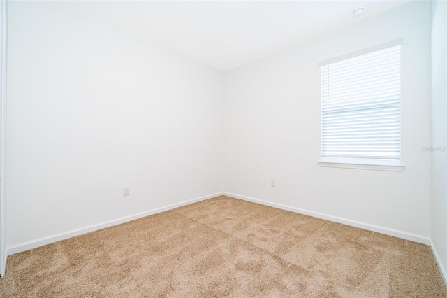 spare room with light carpet