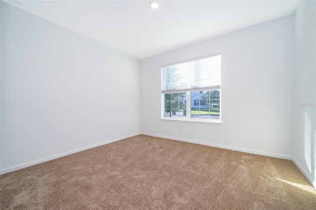 spare room featuring carpet floors