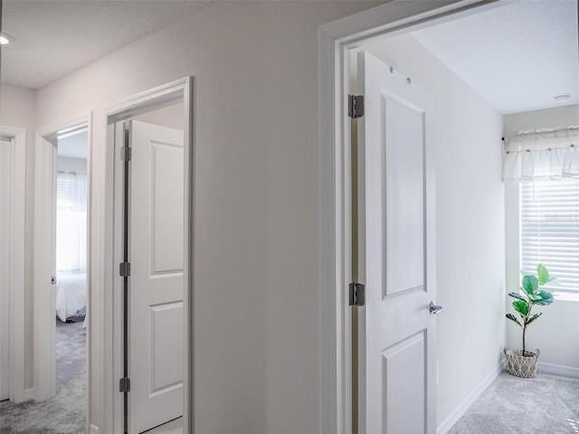 hall with plenty of natural light, light carpet, and a textured ceiling