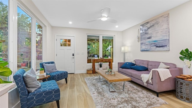 living room with ceiling fan and light hardwood / wood-style floors