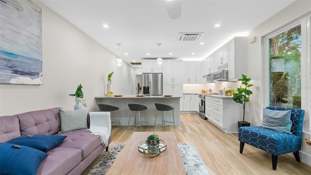 living room featuring light hardwood / wood-style floors