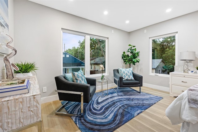 interior space featuring a healthy amount of sunlight and light hardwood / wood-style flooring