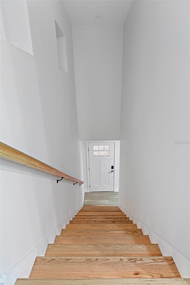 stairway with wood-type flooring