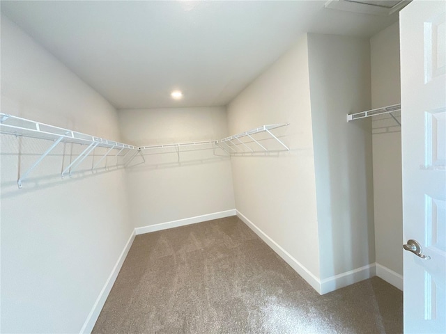 walk in closet with carpet