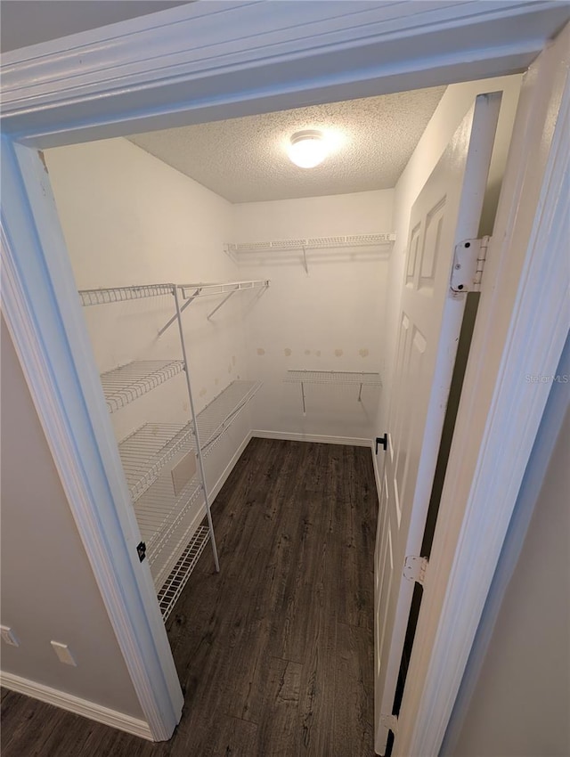 spacious closet with dark wood-type flooring