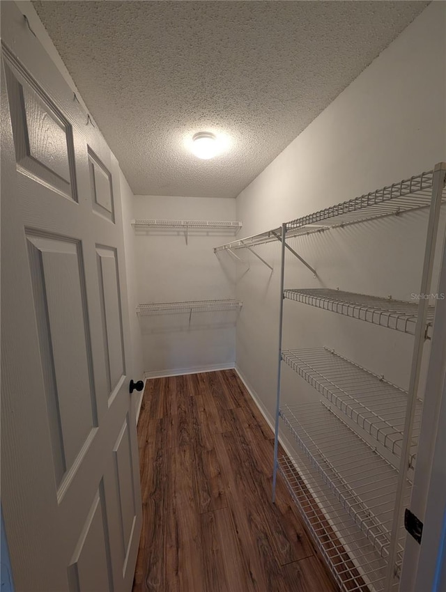 spacious closet with hardwood / wood-style flooring