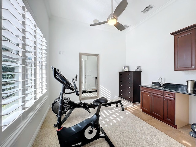 exercise area with ceiling fan, ornamental molding, sink, and light carpet