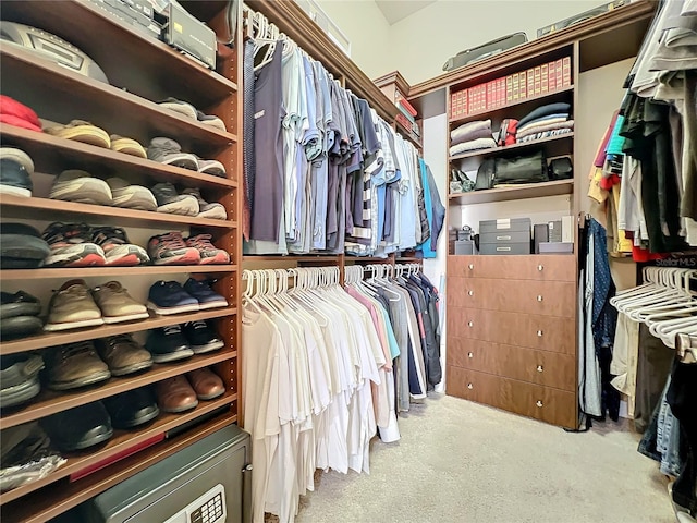 spacious closet featuring light carpet