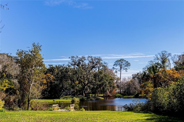 property view of water