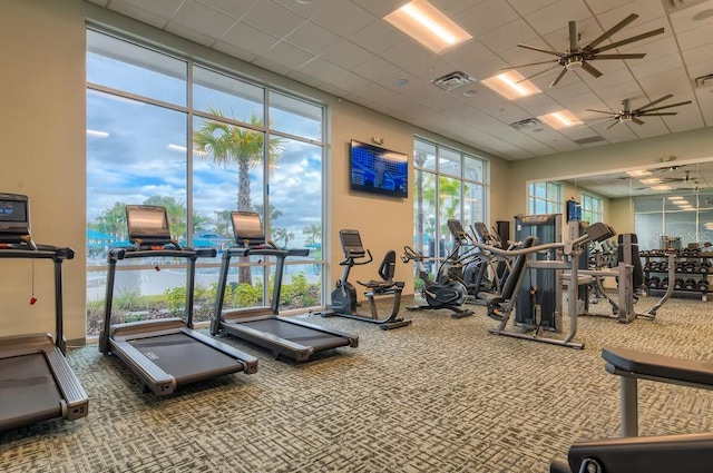 workout area featuring a drop ceiling, carpet floors, and ceiling fan