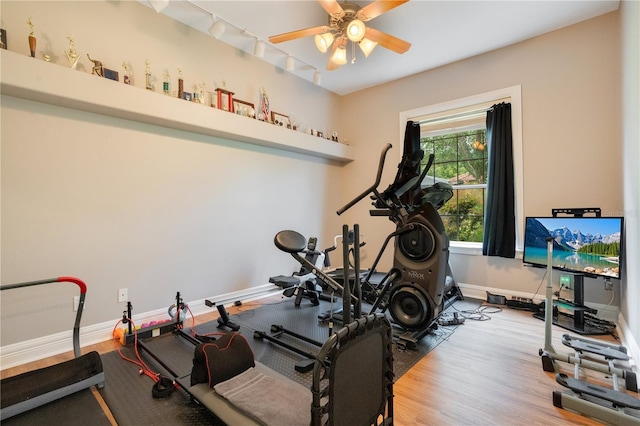 workout room featuring hardwood / wood-style flooring, track lighting, and ceiling fan