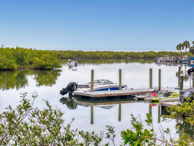 view of dock with a water view