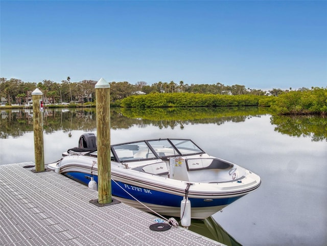 dock area featuring a water view