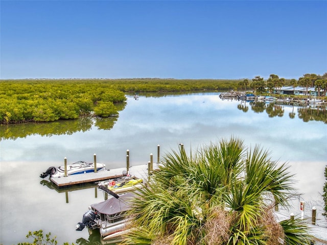 dock area with a water view