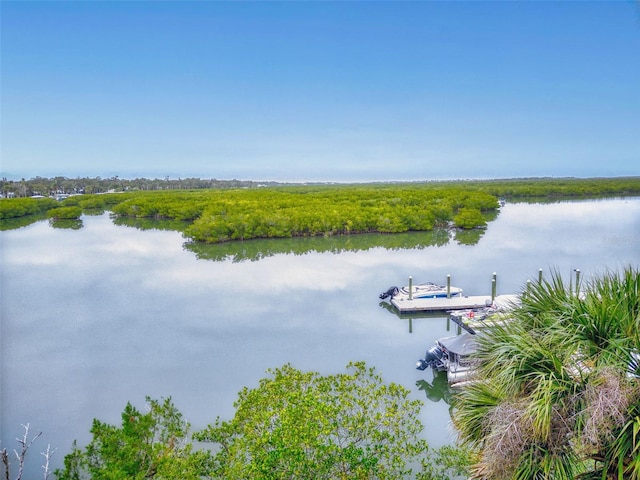 view of water feature with a boat dock