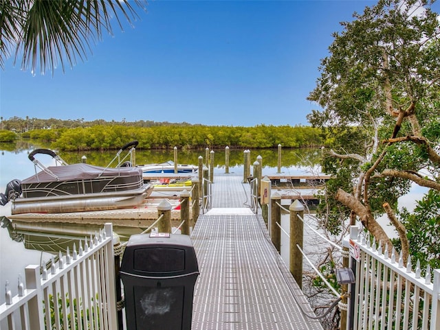 dock area with a water view