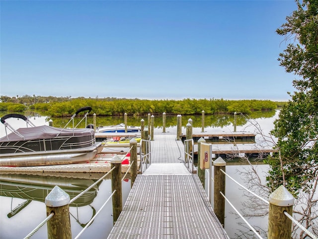 dock area with a water view