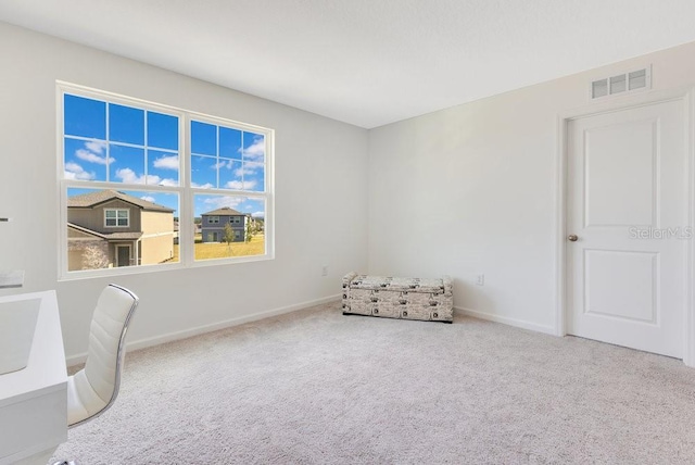 sitting room featuring carpet flooring