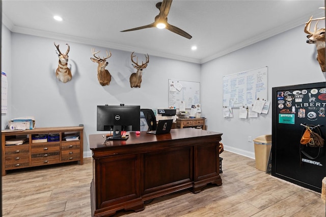 office area featuring crown molding, ceiling fan, and light wood-type flooring