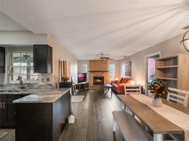 kitchen featuring sink, dark hardwood / wood-style floors, a wealth of natural light, a fireplace, and light stone countertops