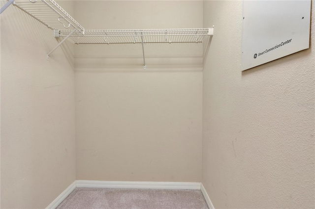 spacious closet featuring carpet floors