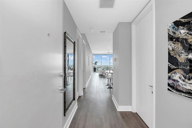 hall with floor to ceiling windows and dark hardwood / wood-style floors