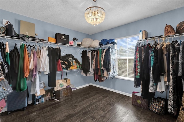 spacious closet with an inviting chandelier and hardwood / wood-style floors