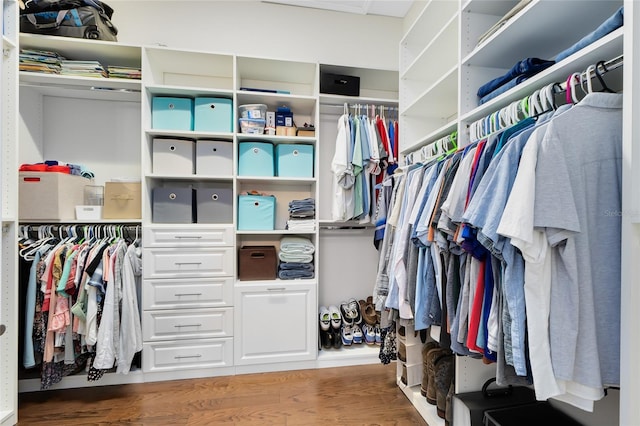 spacious closet with hardwood / wood-style flooring