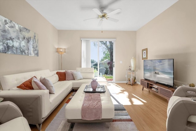 living room with ceiling fan and light wood-type flooring