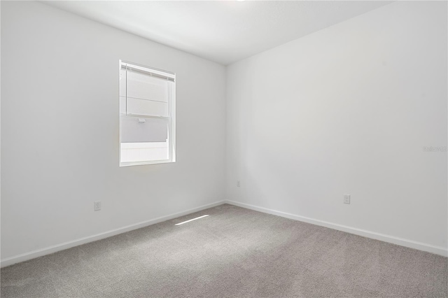 spare room featuring carpet floors