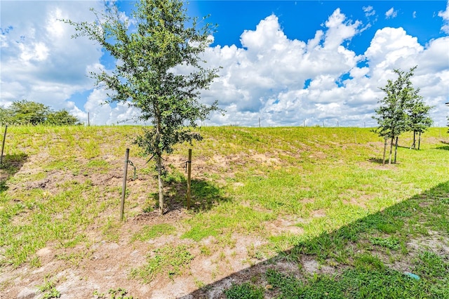 view of yard with a rural view