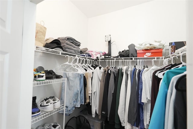 view of spacious closet