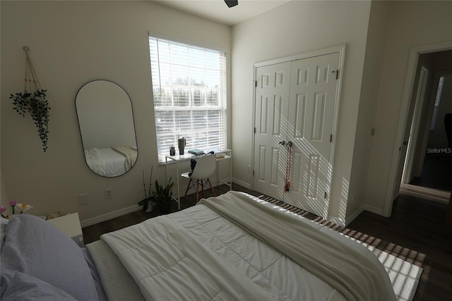 bedroom featuring multiple windows, dark wood-type flooring, and a closet