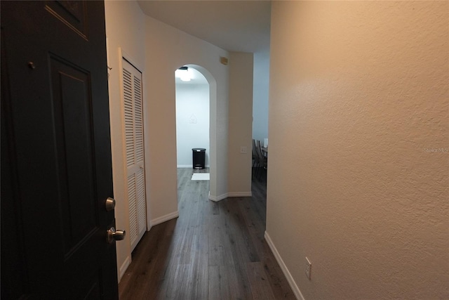 corridor featuring dark hardwood / wood-style floors