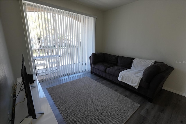 living room featuring dark wood-type flooring