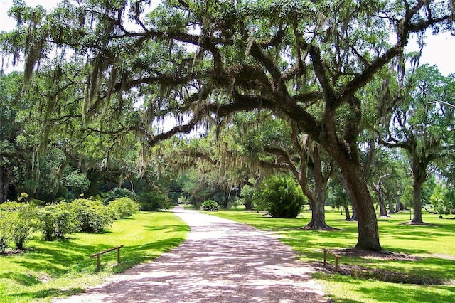 surrounding community with a yard