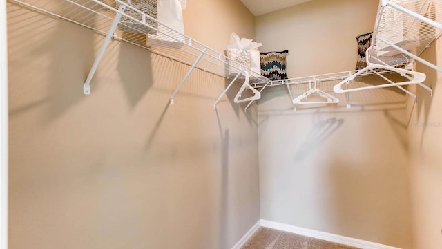 spacious closet featuring carpet floors