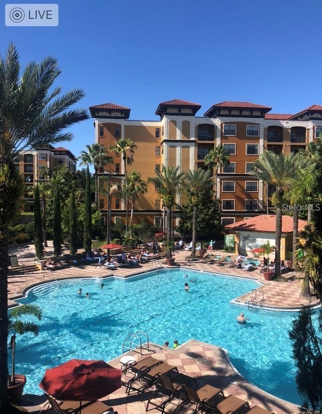 view of pool with a patio