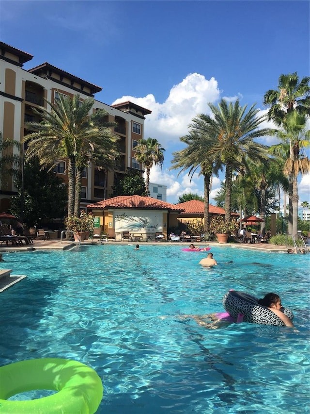 view of swimming pool